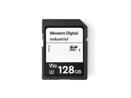 IP-Sicherheit SD-Karte 128GB